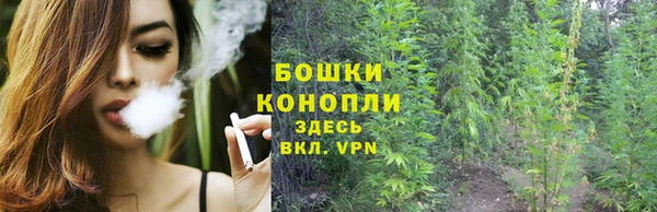 СК Белокуриха