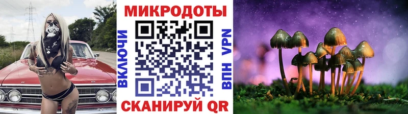 Галлюциногенные грибы MAGIC MUSHROOMS  дарнет шоп  Надым 